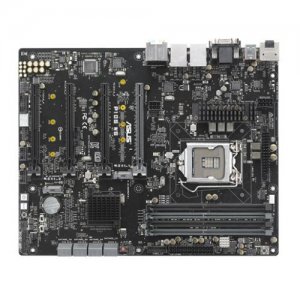 Asus P10S WS